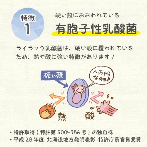 有胞子性乳酸菌