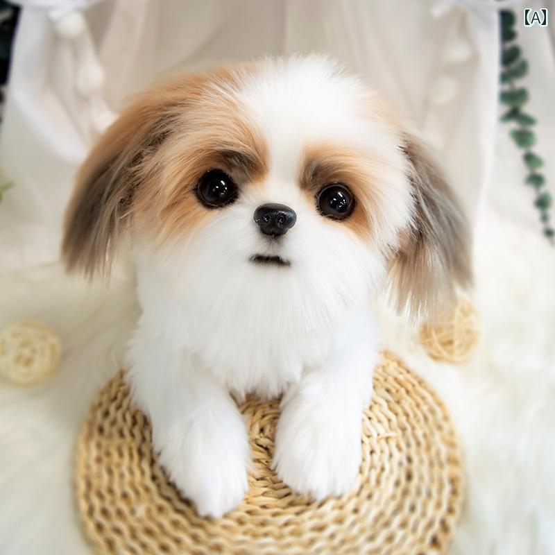 即物的 犬 ぬいぐるみ お坊っちゃん 御姉さん 亜米利加 クローン コンピューターシミュレーション あやつり人形 シーズー 愛玩動物 毛の荒物 合い棒 差し上げ物