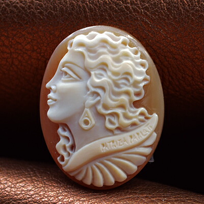 楽天市場】カメオ専門書 魅惑のアンティークカメオ 英語併記 世界の