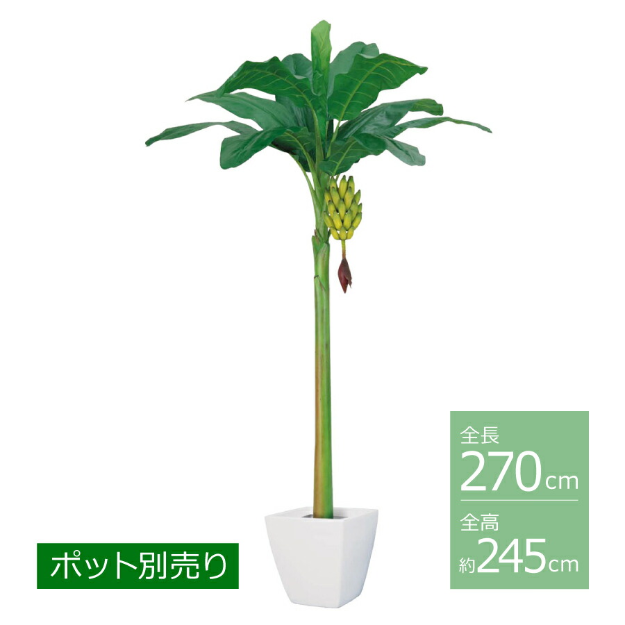 バナナの木天然木(LL)(房バナナの木付)/約245糎 BT-2004-LL／人工観葉草木 フェイクグリーン 大型 バナナの木の木 室内装飾 今めかしい 如何様物