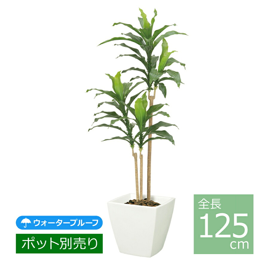 ドラセナツリー/125糎 LET-2069／人工観葉草木 フェイクグリーン 室内装飾 耐水 室外 まがい物 今めかしい