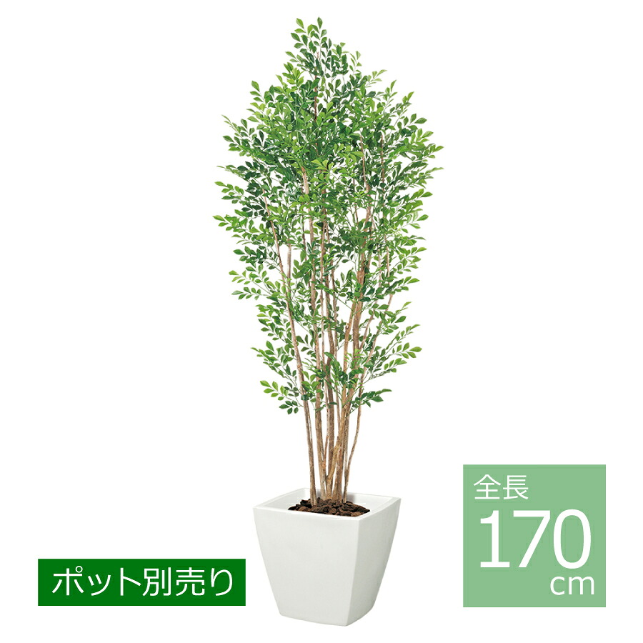 プレミアムトネリコツリー(自然的ブート)/170珊 NGT-2038／人工観葉草木 フェイクグリーン 大型 室内装飾