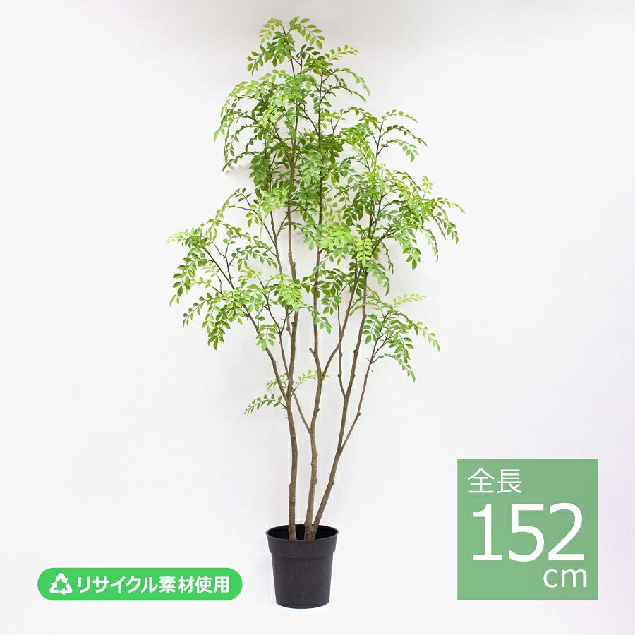 シマトネリコポット/152cm VR22029-024／人工観葉植物 フェイクグリーン エコ素材 インテリア｜art garden 店
