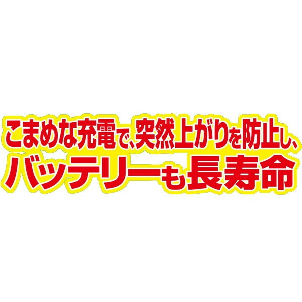 大自工業 Meltec フルオートバッテリー充電器 Dc12v 24v用 リフレッシュ機能付き 軽自動車 24v車 26ah 115ahまで Pcx 3000 Sermus Es