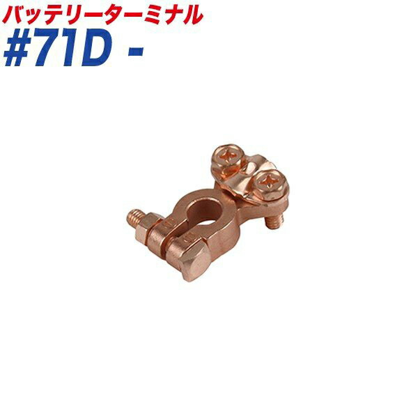 スピードターミナル スピード式 − (マイナス) 小ポール B端子 バッテリーターミナル #71D- 大自工業