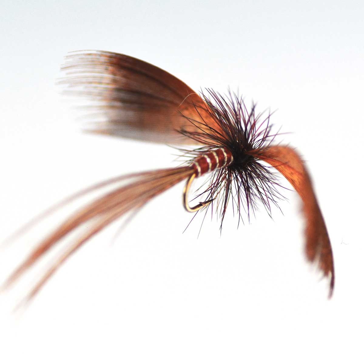 楽天市場】【10日限定│最大10％オフクーポン】ドライフライ ハックル