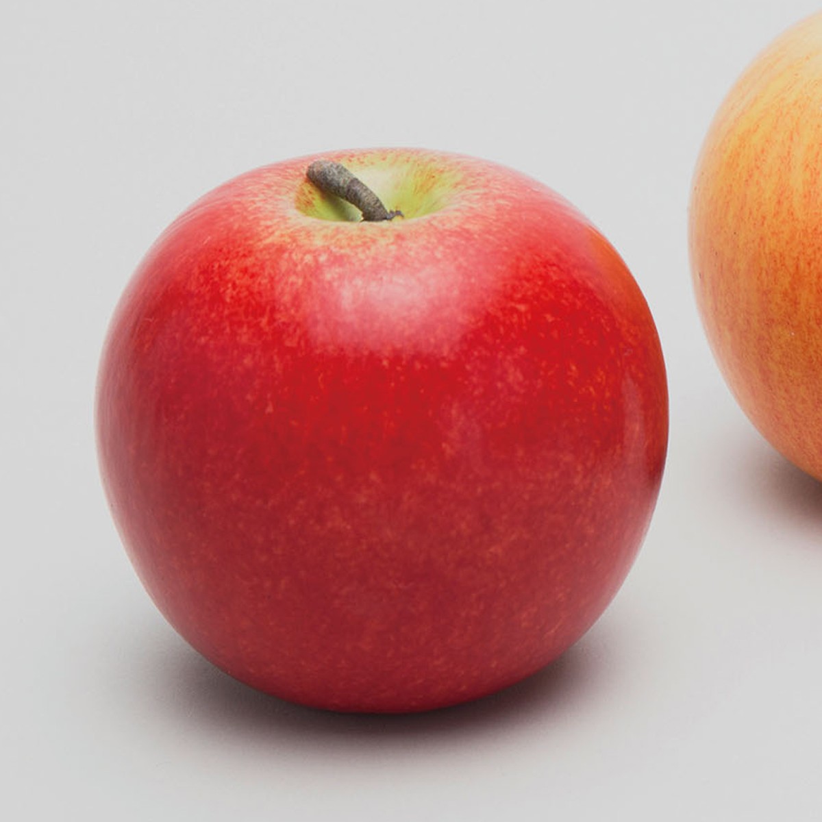 楽天市場 果物モデル りんご 赤 12個セット 硬質スチロール製 デッサン スケッチ 絵画 モデル 果物 野菜 画材 ものづくりのアートロコ