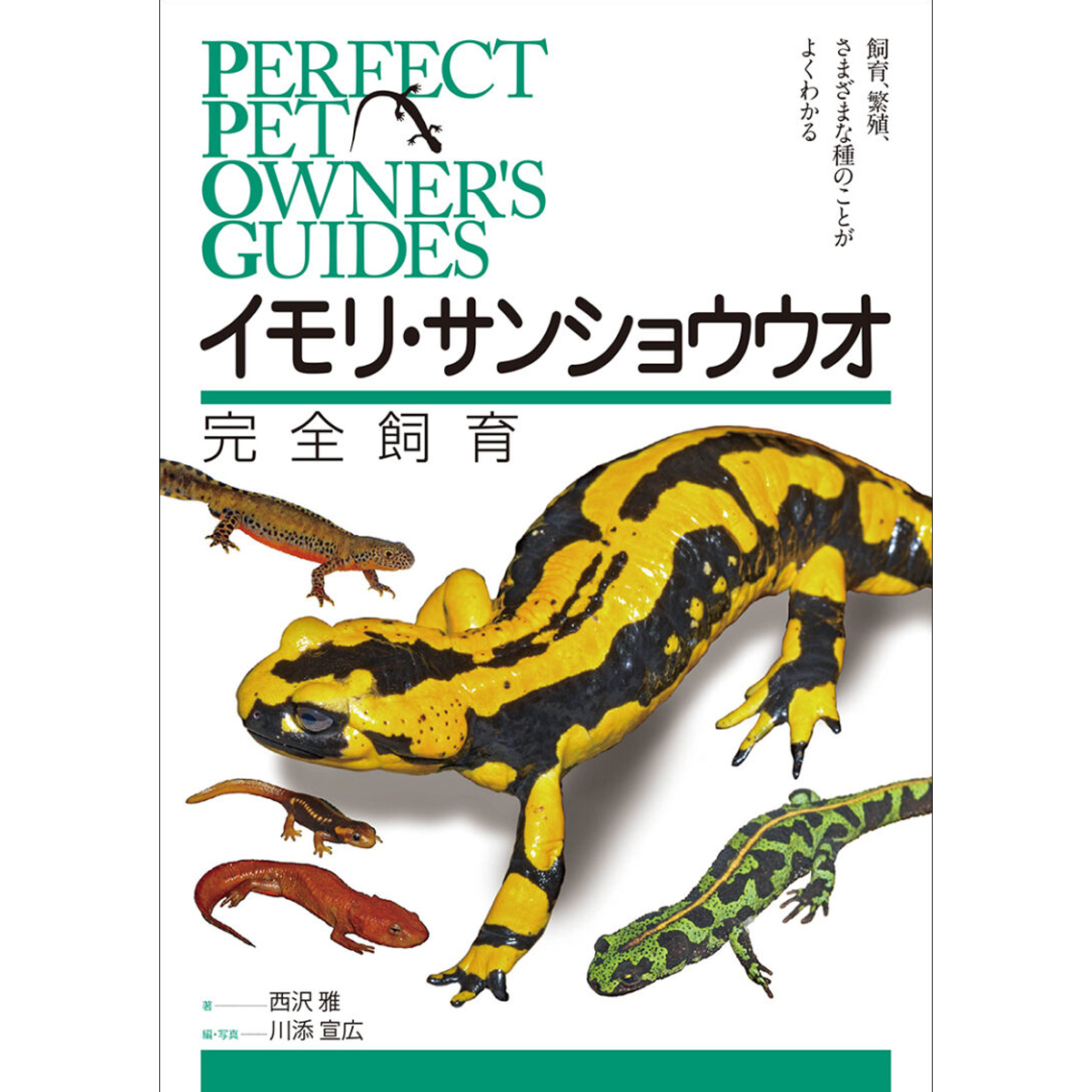 メール便可 イモリ ・ サンショウウオ 完全飼育 誠文堂新光社 書籍 ギフト プレゼント ずかん 図鑑 いもり 知育 入学 入園  祝い お祝い 父の日 母の日 画材・ものづくりのアートロコ