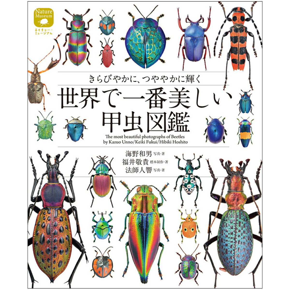楽天市場】昆虫No．1図鑑｜昆虫図鑑 虫図鑑 虫 カブトムシ