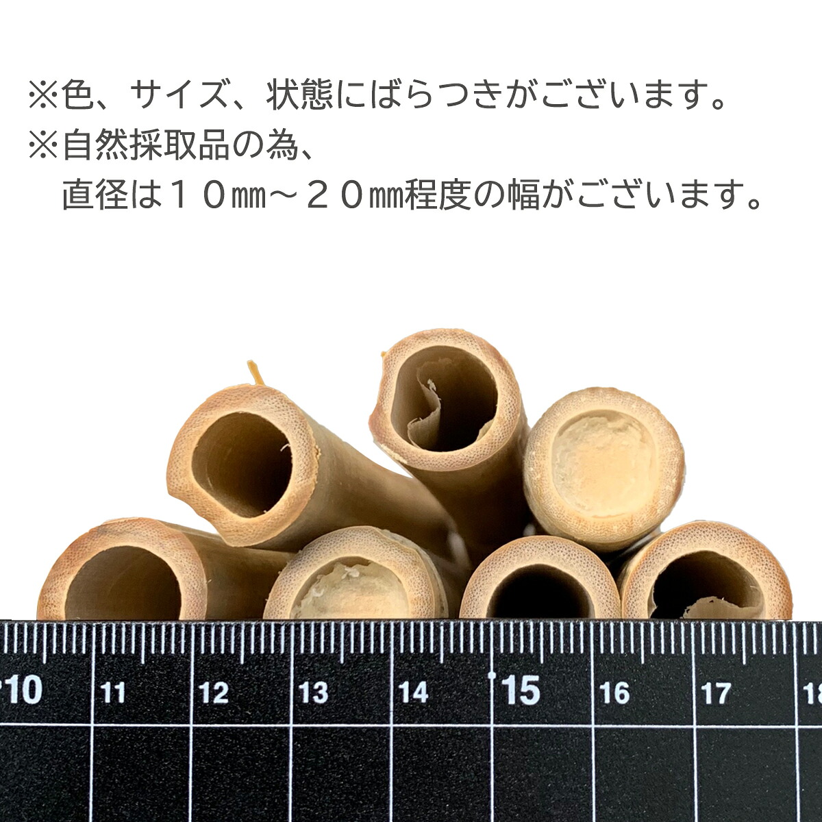 【楽天市場】白竹 約φ15×900mm 10本組 【 工作 竹 材料 竹材 竹細工 竹棒 棒 DIY 手作り 作品 セット 】:画材 ...