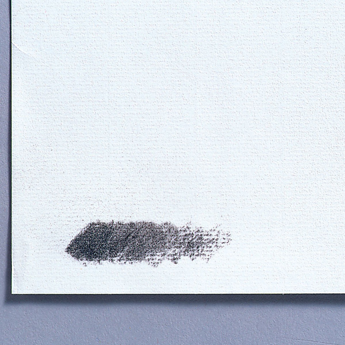 010261.jpg