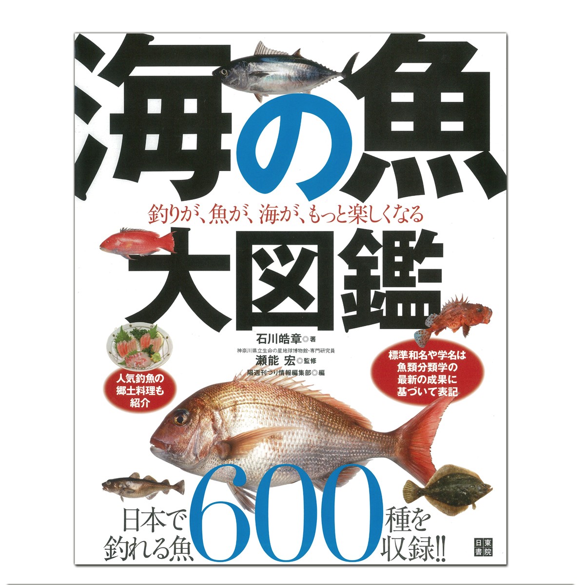 楽天市場 海の魚大図鑑 日東書院本社 石川皓章著 Ab判変形判 書籍 本 画材 ものづくりのアートロコ