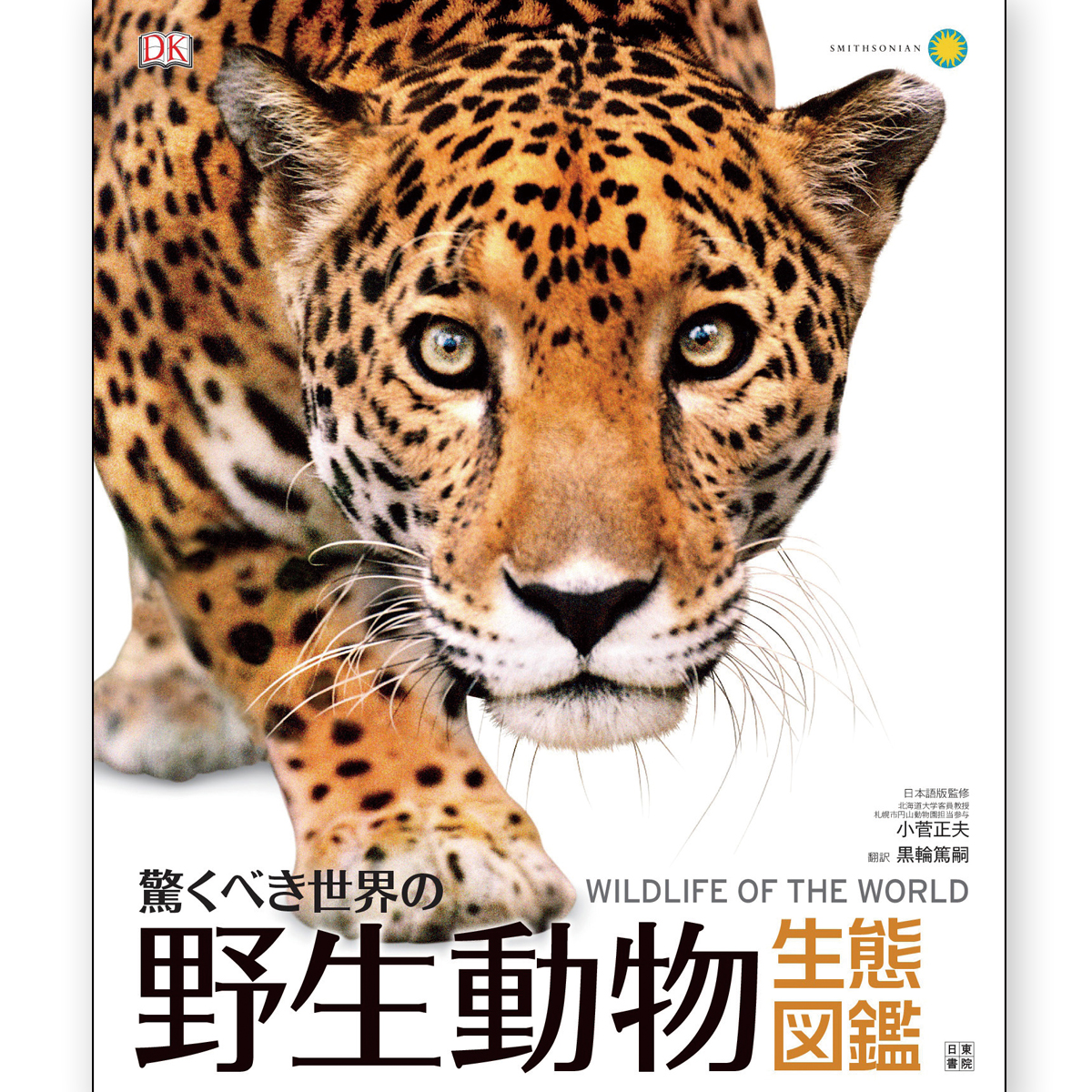 動物の図鑑 Amazon.co.jp: 小学館の学習百科図鑑〈5〉動物の図鑑 (昭和47年