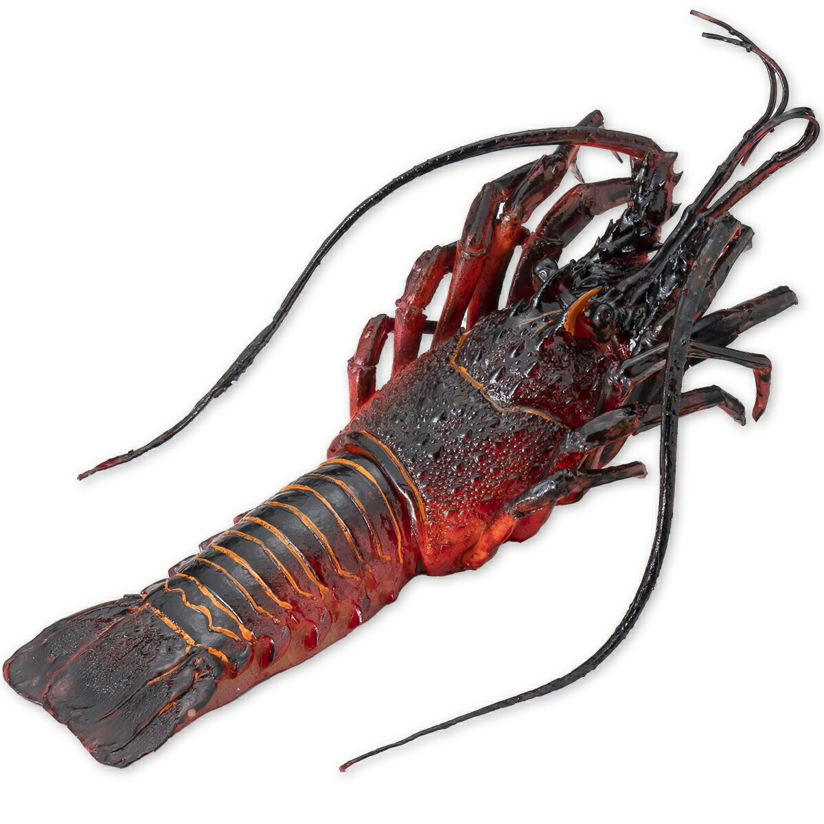 楽天市場】ニシキエビ イセエビ 魚模型 魚フィギュア faf-c9