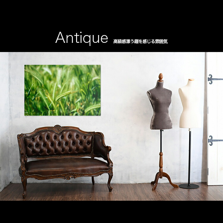 日本製 アートパネル ボード Artmart アートマート 写真 アルミフレーム おしゃれ 綺麗 コーディネート 壁紙 額縁 ウォールステッカー フォト 小物 部屋 オフィス ホテル 旅館 病院 ホールのイメージアップ モノトーン 花 海 モノクロ 北欧 自然 緑 0013 Onpointchiro Com