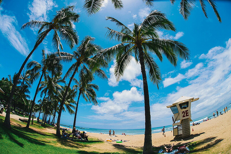 日本製 アートパネル ボード Artmart アートマート 写真 アルミフレーム おしゃれ 綺麗 コーディネート 壁紙 額縁 ウォールステッカー フォト 小物 部屋 オフィス ホテル 旅館 病院 ホールのイメージアップ モノトーン 花 海 モノクロ 北欧風景 ビーチ 009