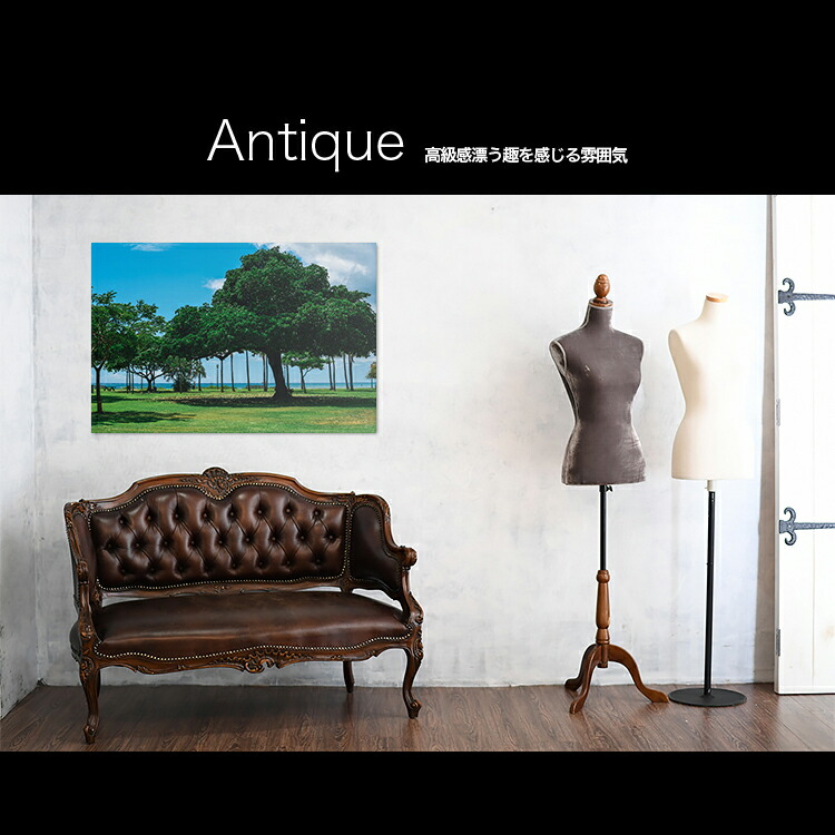 日本製 アートパネル ボード Artmart アートマート 写真 アルミフレーム おしゃれ 綺麗 コーディネート 壁紙 額縁 ウォールステッカー フォト 小物 部屋 オフィス ホテル 旅館 病院 ホールのイメージアップ モノトーン 花 海 モノクロ 北欧 自然 木 021