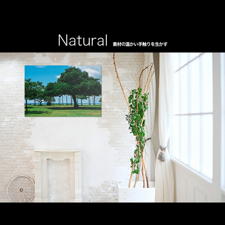 日本製 アートパネル ボード Artmart アートマート 写真 アルミフレーム おしゃれ 綺麗 コーディネート 壁紙 額縁 ウォールステッカー フォト 小物 部屋 オフィス ホテル 旅館 病院 ホールのイメージアップ モノトーン 花 海 モノクロ 北欧 自然 木 021