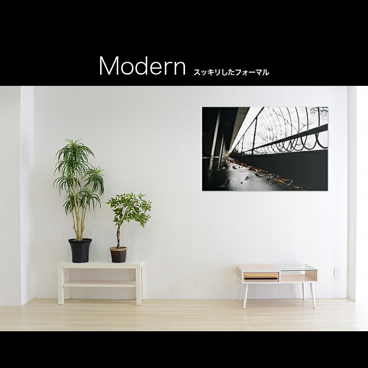 日本製 アートパネル ボード Artmart アートマート 写真 アルミフレーム おしゃれ 綺麗 コーディネート 壁紙 額縁 ウォールステッカー フォト 小物 部屋 オフィス ホテル 旅館 病院 ホールのイメージアップ モノトーン 花 海 モノクロ 北欧 風景 ストリート 75l 0493