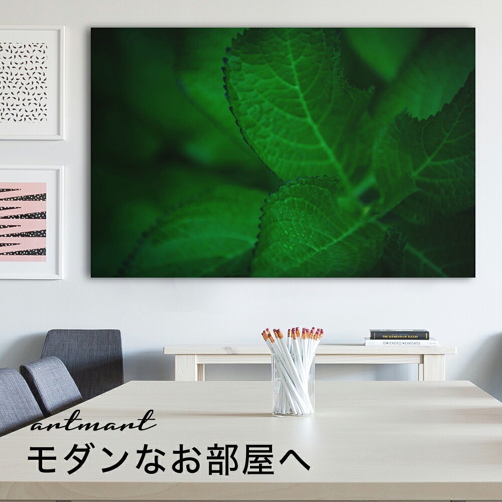 【日本製】アートパネル ボード artmart アートマート 写真 アルミフレーム おしゃれ 綺麗 コーディネート 壁紙 額縁 ウォールステッカー フォト 小物 部屋 オフィス ホテル 旅館 病院 ホールのイメージアップ モノトーン 花 海 モノクロ 北欧 自然_葉_DSC_0890