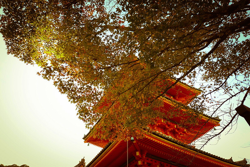 ファブリックパネル 装飾 壁掛け 絵 花 絵画 ポスター 北欧 モノクロ イラスト デザイン 風景 アジアン ナチュラル モダン アンティーク スタイル インテリア 店舗 ショップ 什器 看板 ディスプレイ に人気 日本製 アートパネル ボード Artmart アートマート 写真