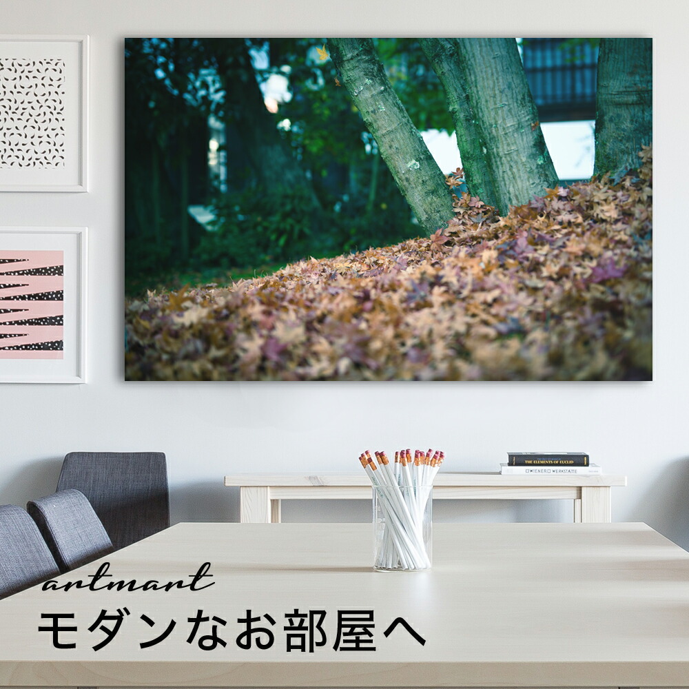 日本製 アートパネル ボード Artmart アートマート 写真 アルミフレーム おしゃれ 綺麗 コーディネート 壁紙 額縁 ウォールステッカー フォト 小物 部屋 オフィス ホテル 旅館 病院 ホールのイメージアップ モノトーン 花 海 モノクロ 北欧 自然 木 Dsc 3277 日本製 アートパネル ボード Artmart アートマート 写真 アルミフレーム おしゃれ 綺麗 コーディネート 壁紙 額縁 ウォールステッカー フォト 小物 部屋 オフィス ホテル 旅館 病院 ホールのイメージアップ モノトーン 花 海 モノクロ 北欧 自然 木 Dsc 3277