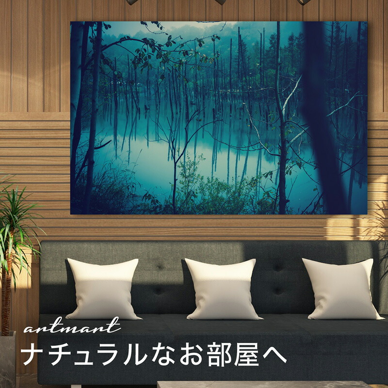 【日本製】アートパネル ボード artmart アートマート 写真 アルミフレーム おしゃれ 綺麗 コーディネート 壁紙 額縁 ウォールステッカー フォト 小物 部屋 オフィス ホテル 旅館 病院 ホールのイメージアップ モノトーン 花 海 モノクロ 北欧 自然_湖_dsc_1192 9,119円