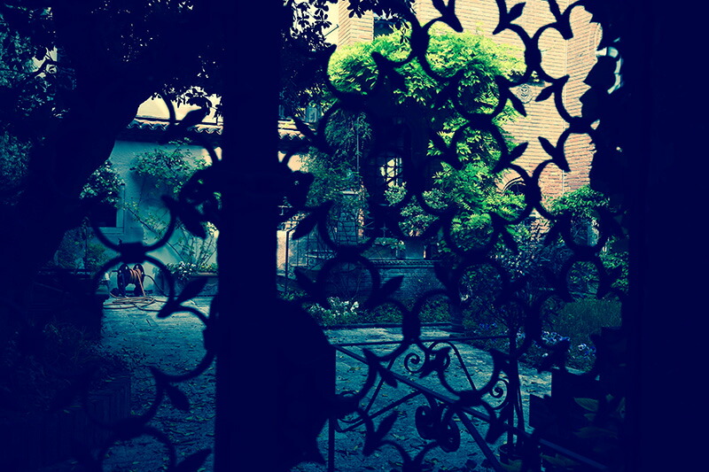 日本製 アートパネル ボード Artmart 花 アートマート 写真 モノクロ アルミフレーム おしゃれ 綺麗 コーディネート 旅館 壁紙 額縁 ウォールステッカー フォト オフィス 病院 部屋 旅館 モノトーン 花 海 ホールのイメージアップ モノクロ 小物 北欧 ホテル 風景