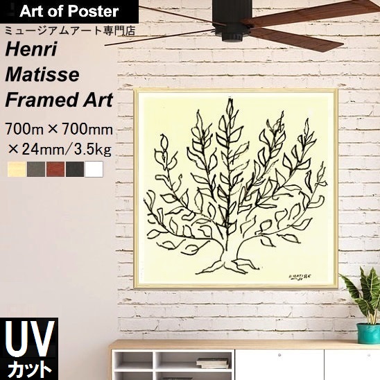 matiss50mainnewuv4.jpg