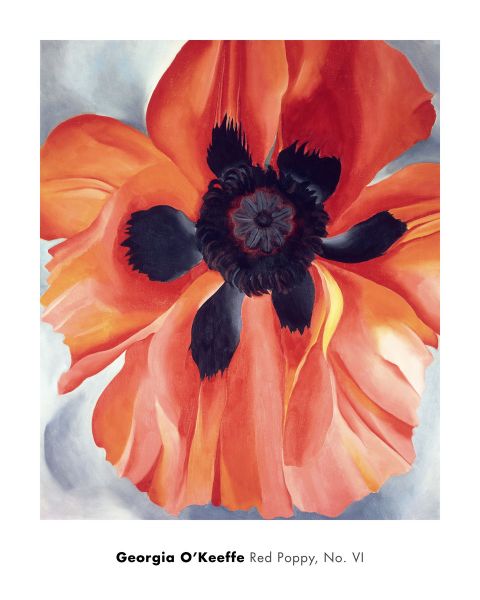 楽天市場】ジョージア・オキーフ RED POPPY,NO.VI,1928 絵画