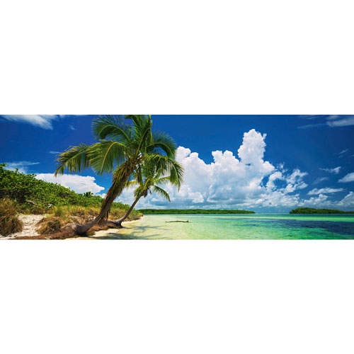 HEYE Puzzle・ヘイパズル  29860 Ed. Humboldt : Paradise Palms  2000ピース