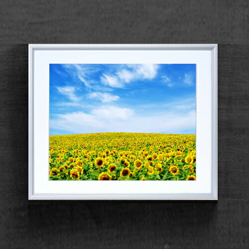 油絵（ひまわり）額装　Ｆ8 楽天市場】【絵画】【油絵】ひまわり【手書き】【壁掛け】【絵