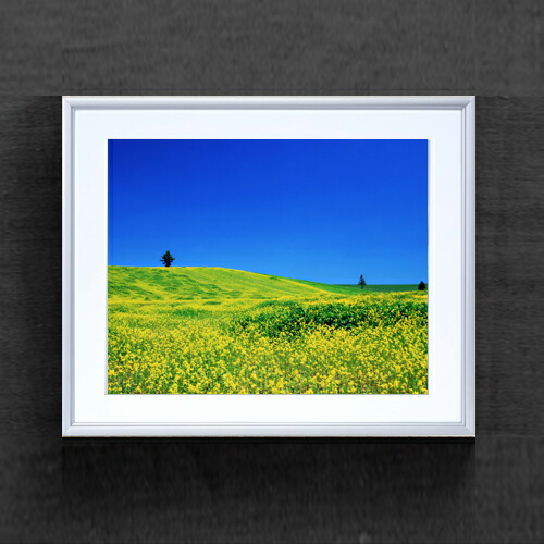 ワイドサイズ油彩額装 花瓶の黄色いバラ 畑省三 SYOZO・HATA 本人サイン ワイドサイズ油彩額装 花瓶の黄色いバラ 畑省三 SYOZO・HATA