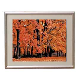 【油絵 直筆仕上げ】秋、紅葉 アートフレーム:色シルバー サイズ 額入りS 310×260mm 【布キャンバス・額表面保護板】 油彩 風景画 オリジナルインテリア絵画 風水画
