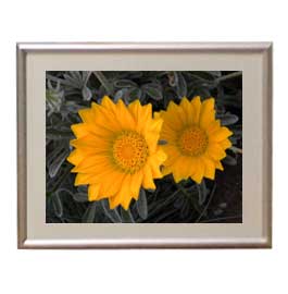 11550円 今年の新作から定番まで! Flowers フラワーズ ♯033 アートフレーム サイズS 花の絵 静物画 310×260mm インテリアアート 送料無料