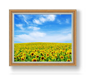 手書き油絵 ひまわり畑 絵画 ゴールド額付き インテリア 油彩画 手書き油絵 ひまわり畑 額付 絵画 インテリア 油彩画 - メルカリ