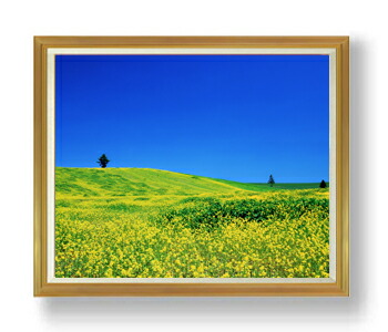 【油絵 直筆仕上げ】春-菜の花畑- F50サイズ 額入り 【額入り】 油彩 風景画 オリジナルインテリア絵画 風水画 アート絵画 50号 大きな絵画サイズ 額入り 複製画 送料無料 1323&times;1066mm｜絵画販売アートレスト