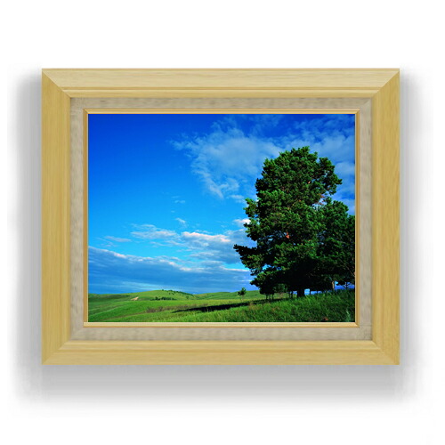 【油絵 直筆仕上げ】空と木と雲 F6サイズ 額入り 【キャンバス・アクリル/額入り】 油彩 風景画 オリジナルインテリア絵画 風水画 556×465mm 複製画 送料無料 プレゼント ギフト 開店祝い 開業祝い 退職祝い 新築祝い リビング 玄関 モダン アートフレーム 壁掛け|絵画販売アートレスト