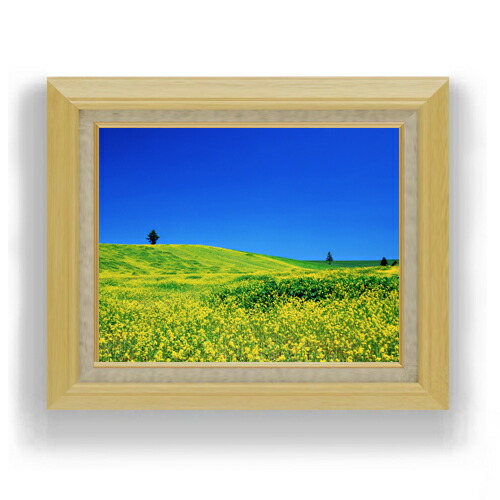 楽天市場】【油絵 直筆仕上げ】春-菜の花畑- F6サイズ 額入り