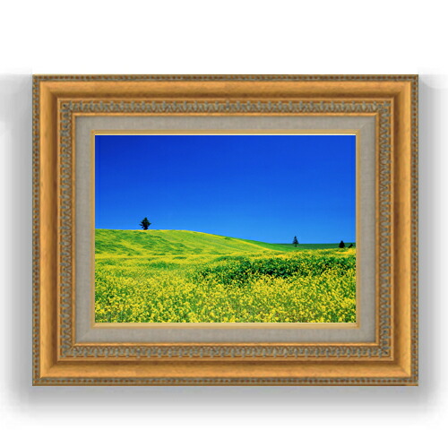 楽天市場】【油絵 直筆仕上げ】春-菜の花畑- F6サイズ 額入り