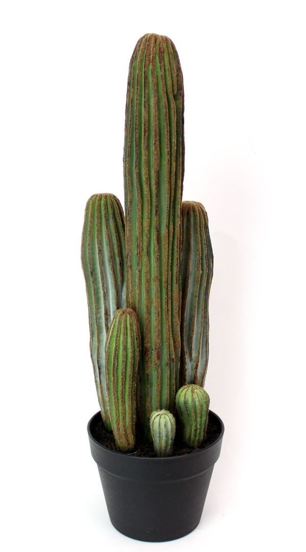 楽天市場】男前インテリア サボテン 人工観葉植物 フェイクグリーン