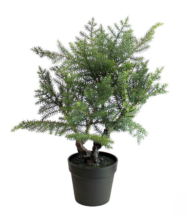 【マラソン限定クーポン】観葉植物 フェイクグリーン「サイプレス ポット 77」インテリア 造花 ガーデン 雑貨 DIY｜アートショップ フォームス