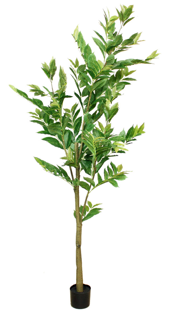 安い 楽天市場 観葉植物 フェイクグリーン コーヒーの木 ポット 5 インテリア 造花 ガーデン 雑貨 Diy アートショップ フォームス 格安 Lexusoman Com