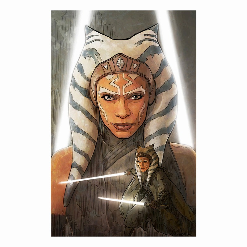 楽天市場】スターウォーズ絵画 公式 Star Wars「帝国への愛なきもの 