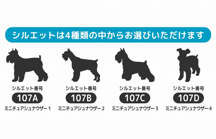 楽天市場 ミニチュアシュナウザー 犬 ステッカー サーフィン Mサイズ ペット 車 カーステッカー 車ステッカー サーフボード サーフ 海 波乗り 波乗り犬 ペットステッカー 名前 ネーム オリジナル オーダー かわいい かっこいい おしゃれ リアガラス Artus Design