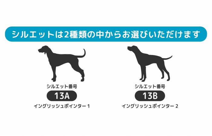 楽天市場 イングリッシュポインター 犬 ステッカー サーフィン Mサイズ ペット 車 カーステッカー 車ステッカー サーフボード サーフ 海 波乗り 波乗り犬 ペットステッカー 名前 ネーム オリジナル オーダー かわいい かっこいい おしゃれ リアガラス Artus Design