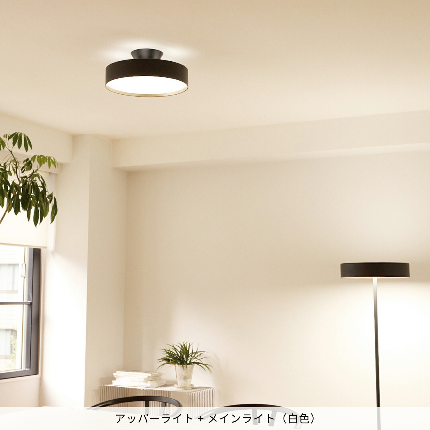 シーリングライト AW-0565 アートワ ークスタジオ LED リモコン付き ARTWORKSTUDIO アートワークスタジオ Graph LED-remote ceiling