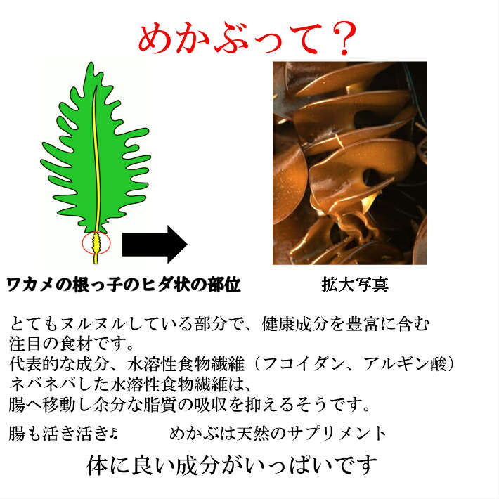 めかぶ茶梅味送料無料100g高血圧健康茶自然天然サプリフコイダ水溶性食物繊維腸活排出カリウム乾燥めかぶメカブ雌株芽かぶmekabuスープ食品海藻おいいしい血糖値ダイエット