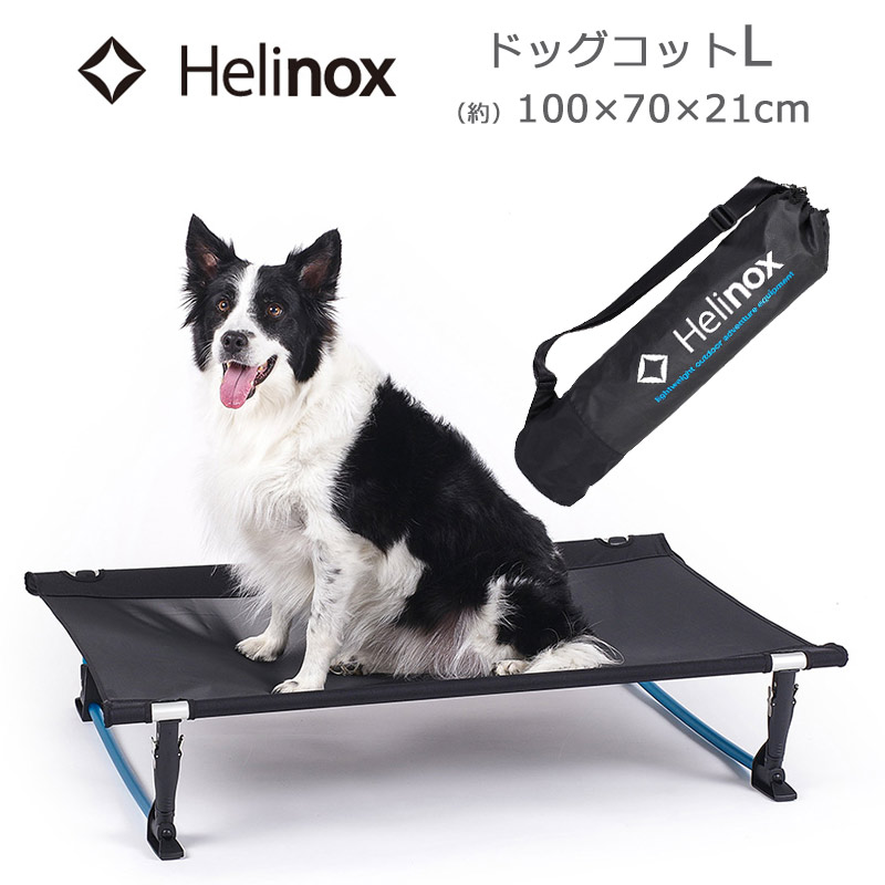 New arrival【 新着商いもの 】