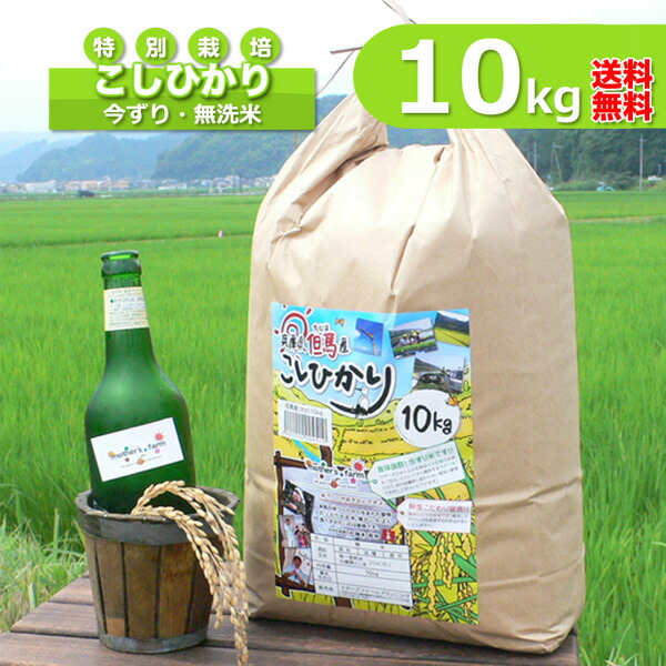 無洗米 お米 10kg コシヒカリ 白米 今ずり米 特別栽培米 兵庫県 但馬産 令和7年産 送料無料
